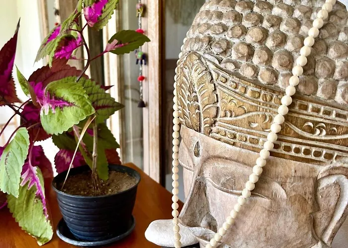 Pura Vida 別荘