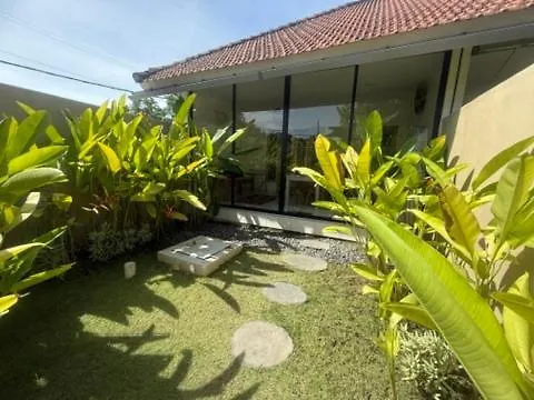 Pura Vida *