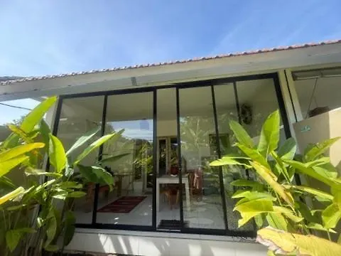 Pura Vida